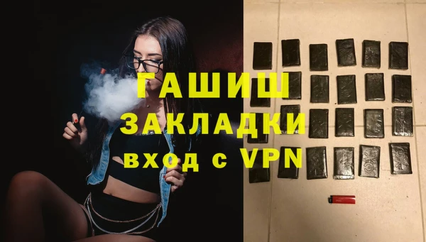 гидра Алексин