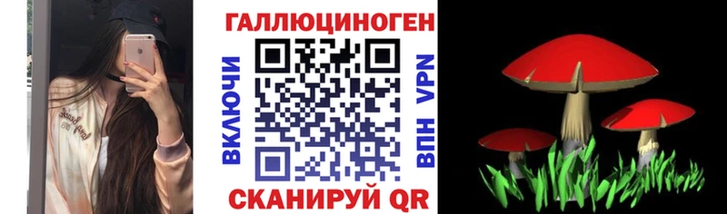 Галлюциногенные грибы прущие грибы  сколько стоит  Сельцо 